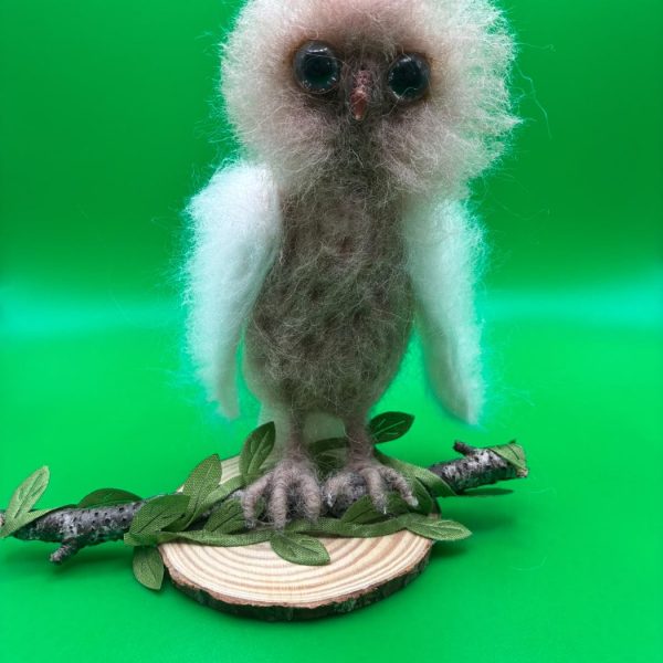 Baby owl on branch
