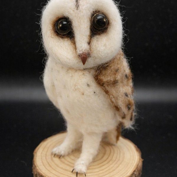 Barn owl on wood slice