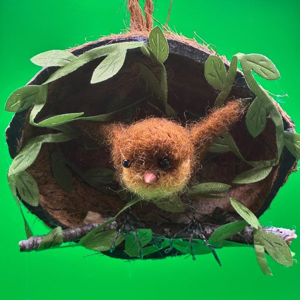 Robin in a coconut nest
