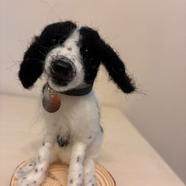 Black and white dog on wood slice