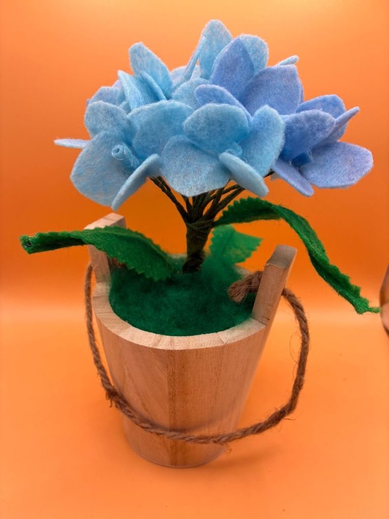 Flowers & Nature