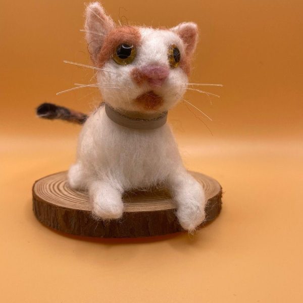White and ginger cat on wood slice