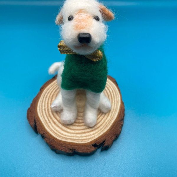 White dog in green coat on wood slice