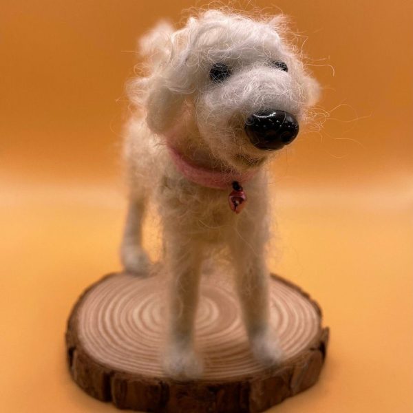 White fluffy dog on wood slice